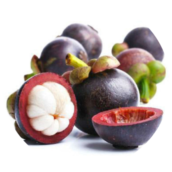 mangosteen 1