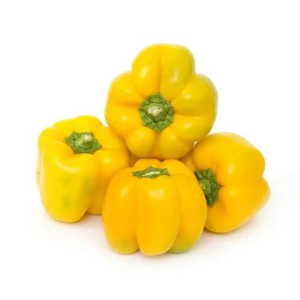 yellow capsicum